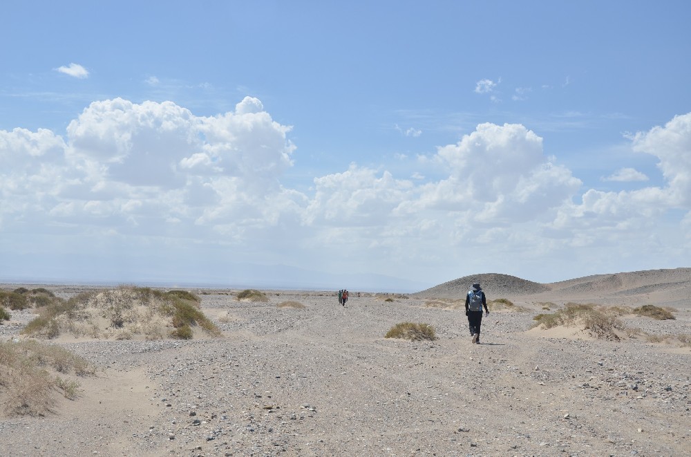 D70_4542.JPG