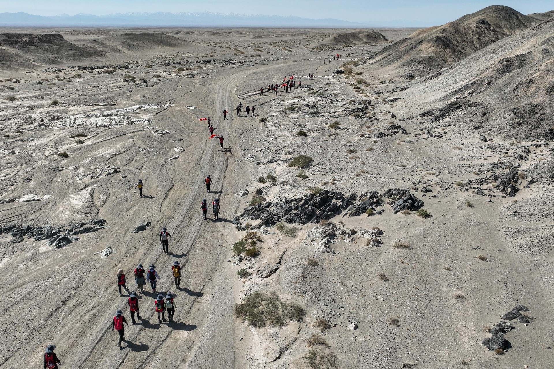 DJI_0417.jpg