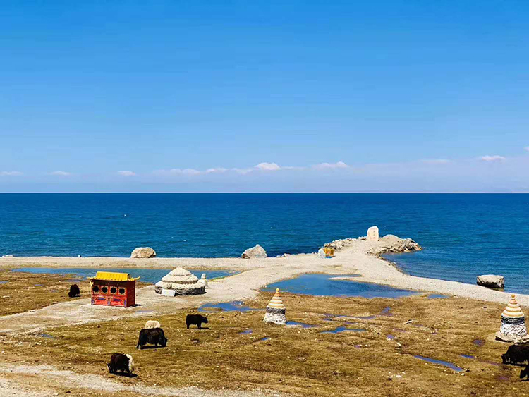 青海湖