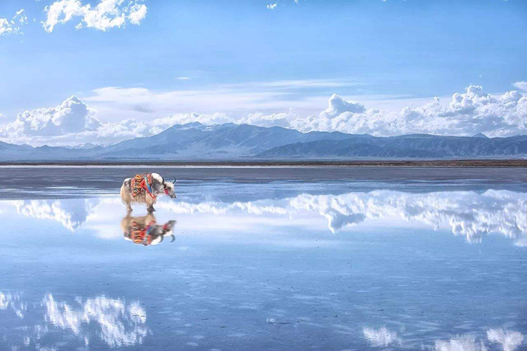 青海旅游